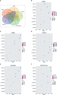 Integrated Analysis of the Transcriptome Profile Reveals the Potential Roles Played by Long Noncoding RNAs in Immunotherapy for Sarcoma